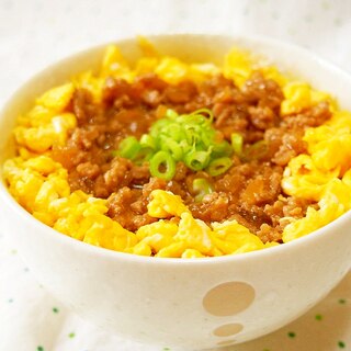 生姜たっぷり！トロトロそぼろ丼♪